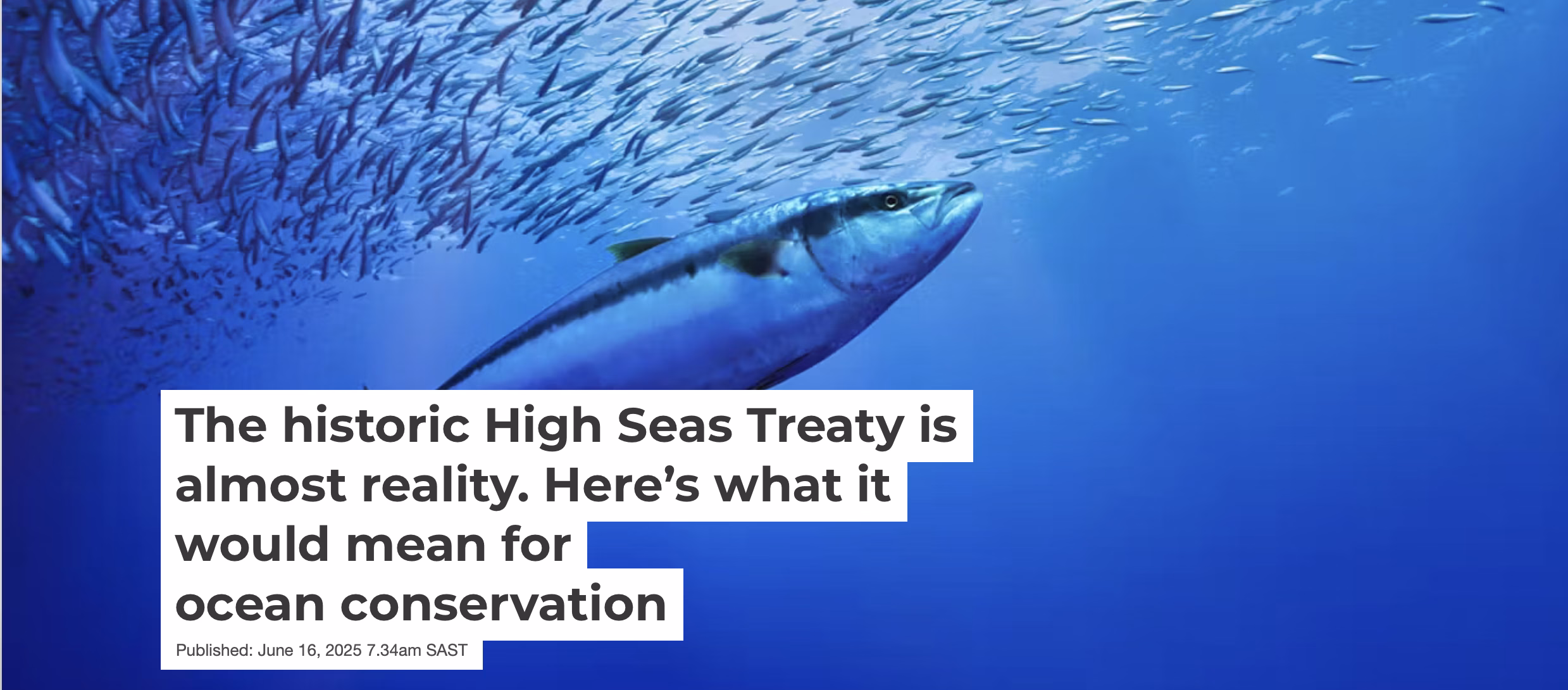 The historic High Seas Treaty is almost reality